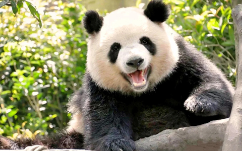 14 Days Kunming Lhasa Everest Namtso Chengdu Flight Tour