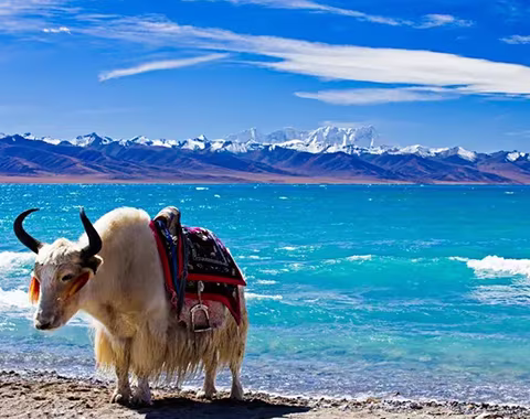 5 Days Lhasa to Lake Namtso Small Group Tour