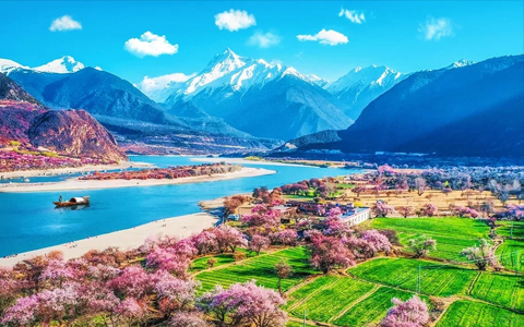 7 Days Chongqing Nyingchi Peach Blossom Tour