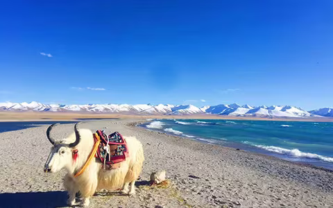 8 Days Tibet Discovery Tour by Train from Xining