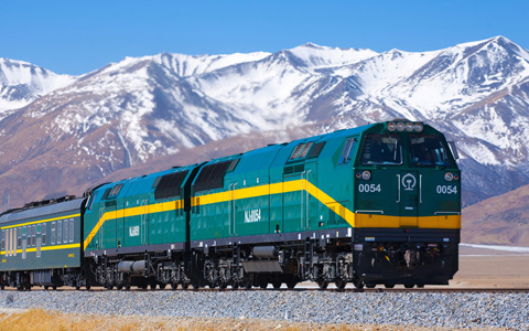 8 Days Classic Shanghai and Tibet Tour by Train