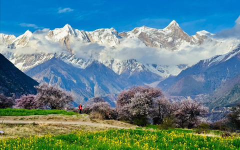 9 Days Chengdu Nyingchi Peach Blossom Train Tour