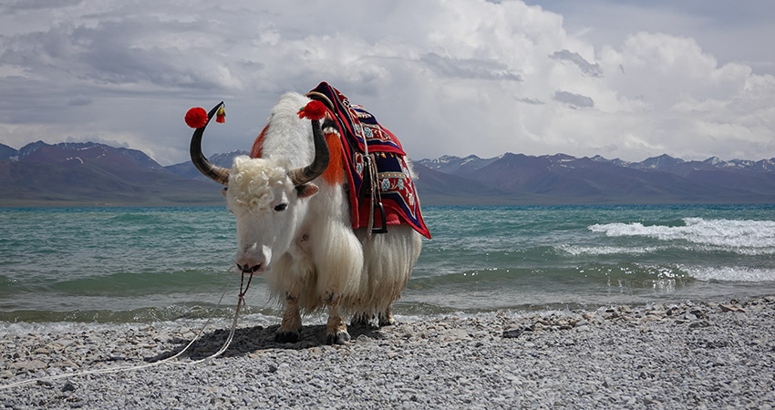 Namtso Lake