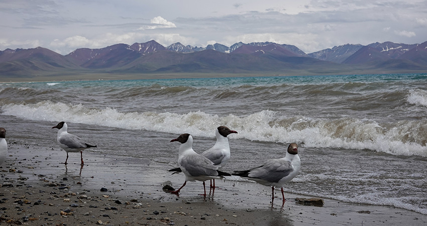Lake Namtso