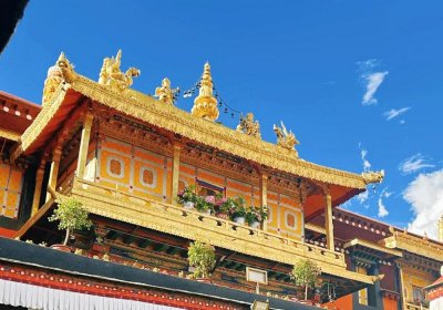 Traveler photo: The gilded roof of Jokhang Temple in Lhasa seems to touch divine celestial light under cloudless blue skies. (December 2025)