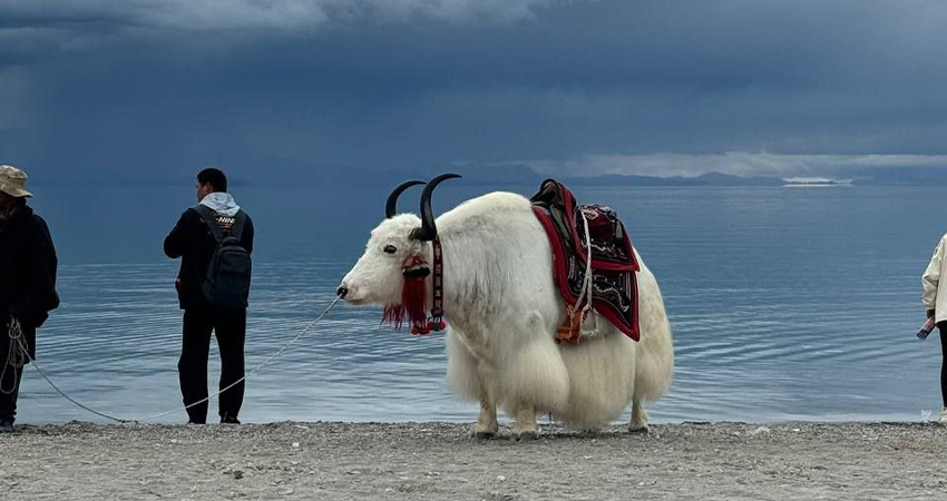 Namtso Lake