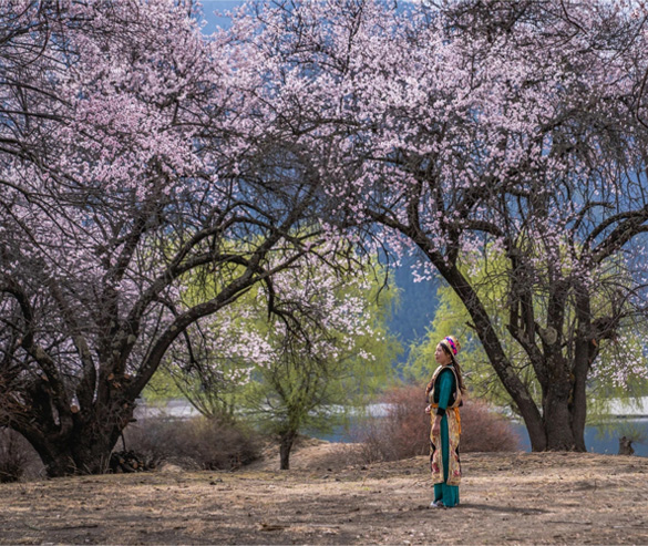 local gongbu tibetans in nyingchi in spring