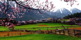 aboute nyingchi travel guide