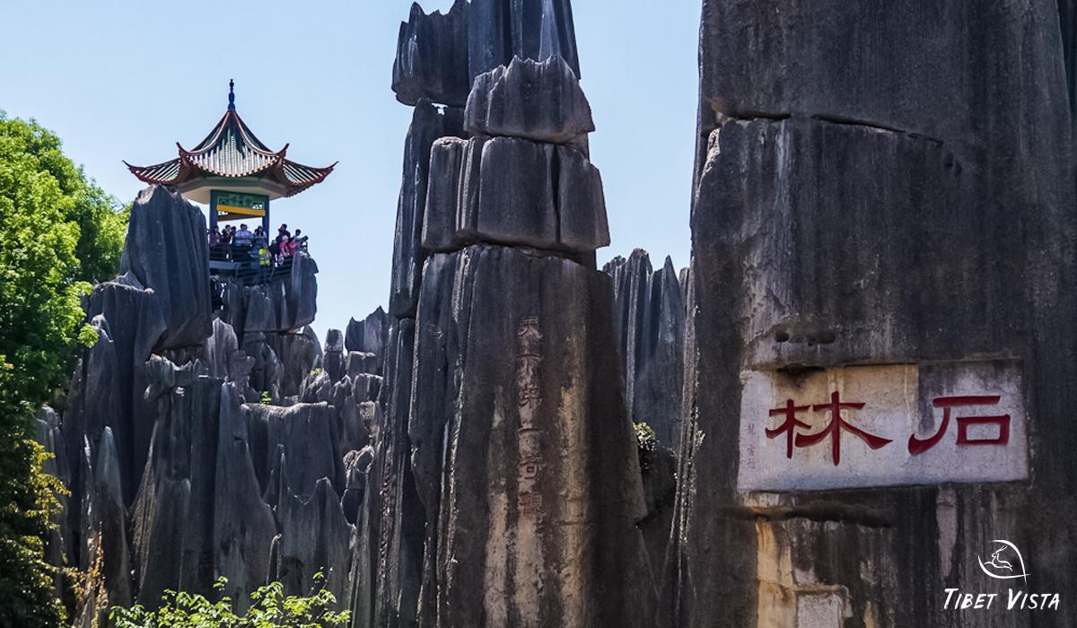 our guests visited stone forest in kunming