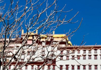 Traveler photo: Under the azure sky of Lhasa, Tibet, Potala Palace stands majestically on Marpori Hill, showcasing the solemnity of the snowy sanctuary. (December 2025)