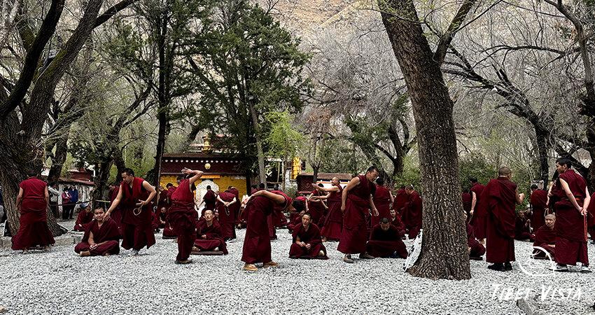 Sera Monastery monks debate