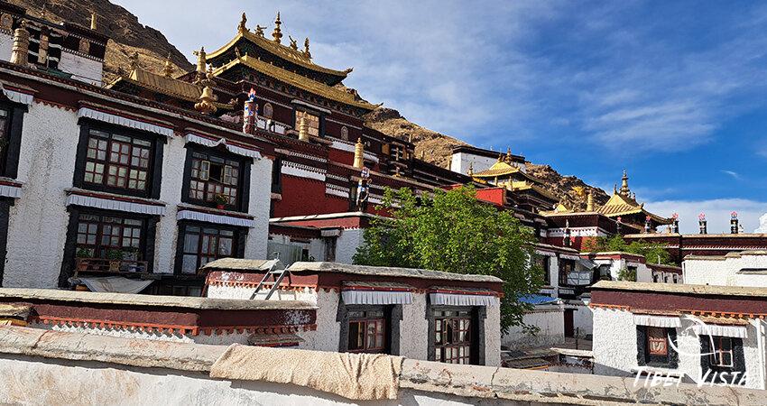 Visit Shigate Tashilhunpo Monastery.